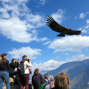 COLCA 2D/1N MAGESTIC CON COPORAQUE