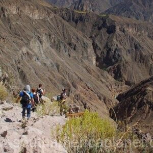 COLCA-ja