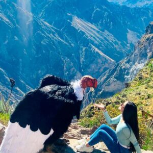 canon-colca-10-media